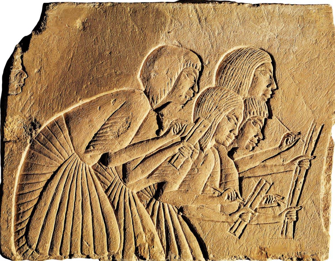 The Crowns That Learned to Share